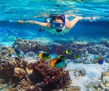 Excursão de snorkeling à Ilha dos Pombos a partir da praia de Uppuveli