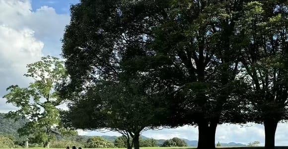 From Osaka: Nara, Uji, and Kyoto Day Trip with Hotel Pickup