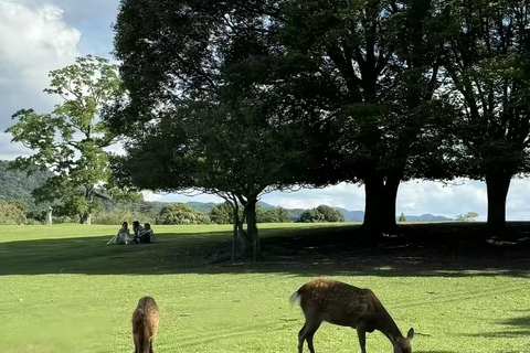From Osaka: Nara, Uji, and Kyoto Day Trip with Hotel Pickup Door-to-door pickup