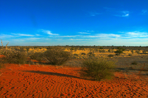 10 Days Beauty of Namibia | Guided Camping