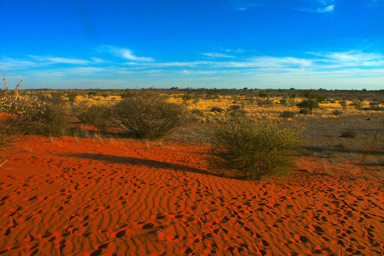 10 Days Beauty of Namibia | Guided Camping