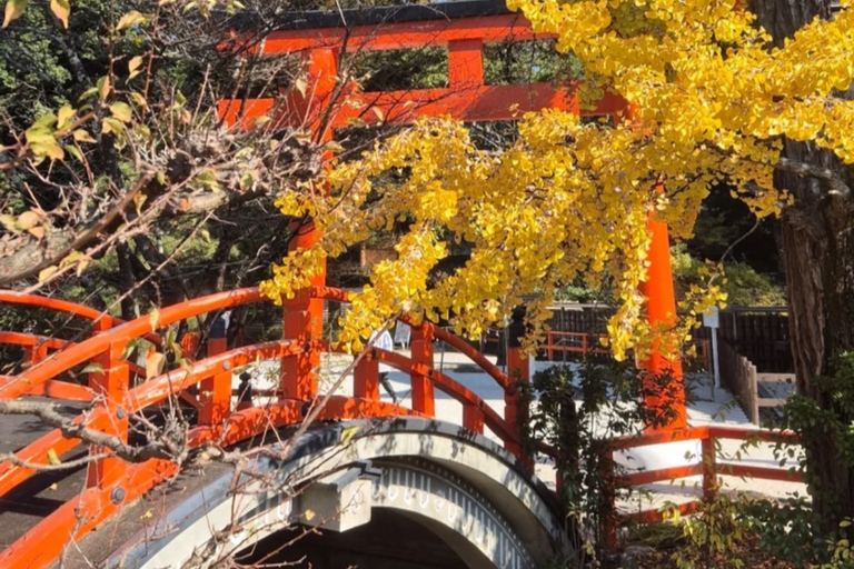 Kyoto Day Trip from Tokyo by Bullet Train Private Tour