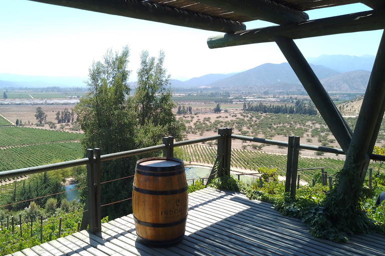 Wineries Tour in Casablanca Valley from Valparaiso Shared tour