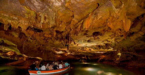 From Valencia: Caves of San José Tour + Guide & Entry ticket