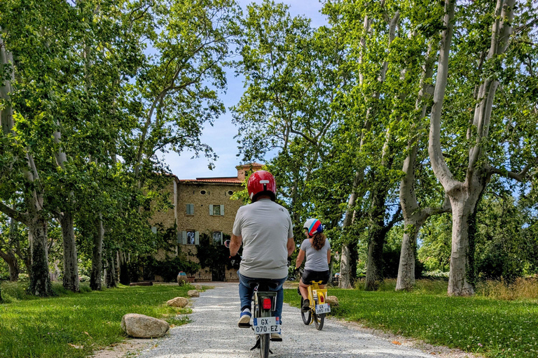 Argelès-sur-Mer: Guided Solex Ride with Wine Tasting