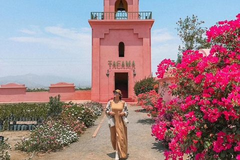 Luxury Private Tour from Lima: Ballestas, Vineyards, and Adrenaline-Fueled Buggy Ride Luxury Private Tour from Lima: Ballestas, Vineyards, and Adrenaline-Packed Buggy Ride