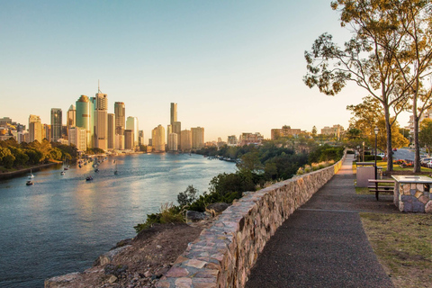 Hop on Hop off - Brisbane City - The Heart of Brisbane Brisbane City Loop + Tamborine Mountain Hop on Hop off