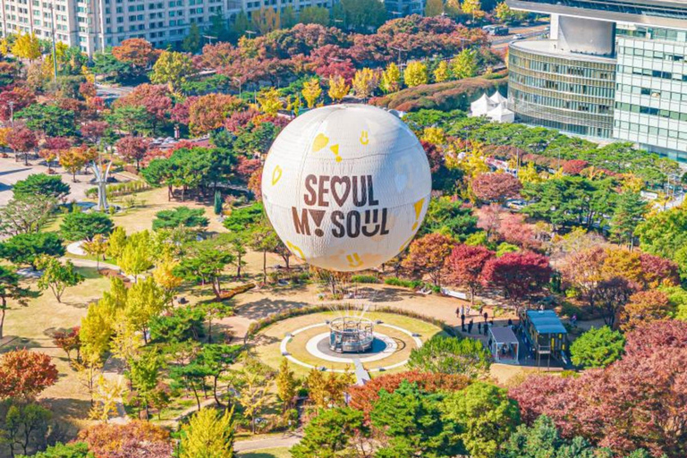 Seoul: Moon Balloon,NightLife, Han River & Banpo Bridge Tour Seoul: Moon Balloon, Han River & Banpo Bridge Private Tour