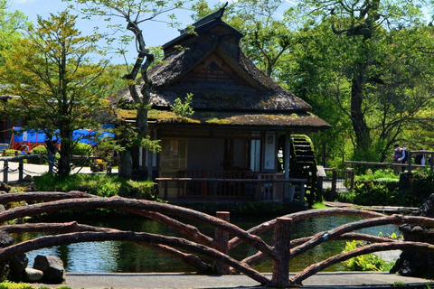 Mt Fuji Sightseeing Private tour with English Speaking Guide