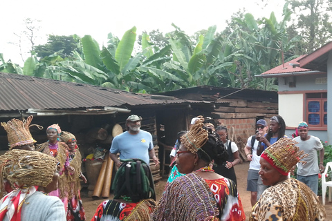 Arusha/Moshi: cascada, tour del café y vino de plátanoCascadas de Materuni, plantación de café y almuerzo desde Arusha