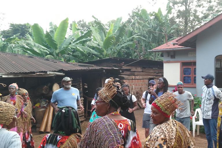 Arusha/Moshi: cascada, tour del café y vino de plátanoCascadas de Materuni, plantación de café y almuerzo desde Arusha
