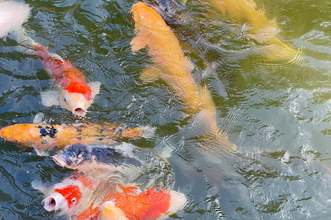 Hiroshima & Miyajima Befriedigende private Gem Tour mit Einheimischen 7h