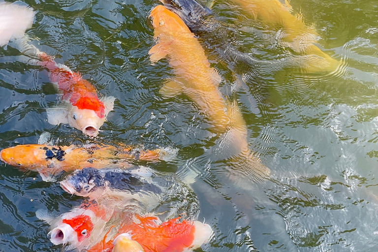 Hiroshima & Miyajima Befriedigende private Gem Tour mit Einheimischen 7h