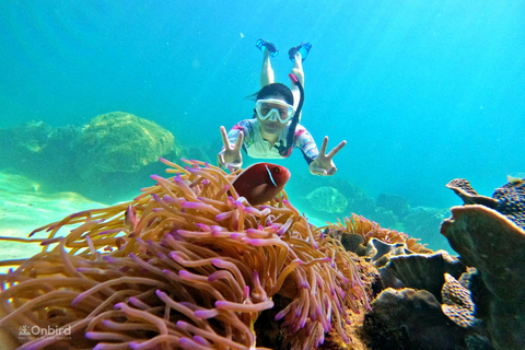 Phu Quoc: 4 Island & 2 Reefs Snorkeling Tour by Speedboat Phu Quoc: Speed Boat Tour 4 Islands - 2 Reefs Snorkeling