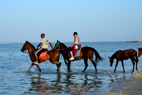 Marsa Alam: Passeio a cavalo pelo mar e pelo deserto