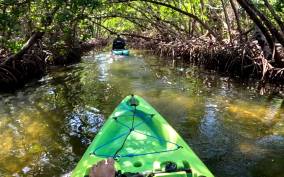 Bradenton: Guided Pedal Kayak Tour