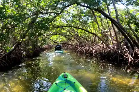 Bradenton: Guided Pedal Kayak Tour