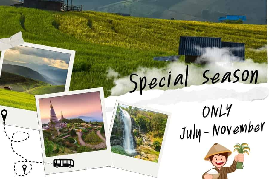 Chiang Mai : Pa Bong Piang Reisterrassen & Doi Inthanon. Foto: GetYourGuide Chiang Mai : Pa Bong Piang Reisterrassen & Doi Inthanon. Foto: GetYourGuide