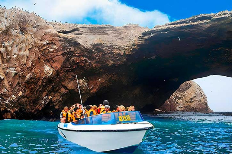 Excursion: Ballestas Islands and Paracas National Reserve