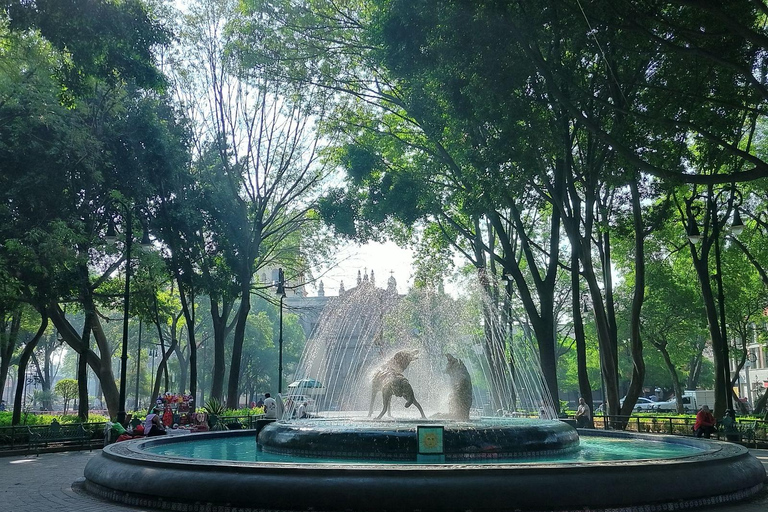 Mexico City: World Cup Stadiums & Soccer Culture Tour Estadio Ciudad de los Deportes