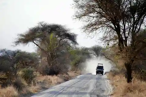Zanzibar: 4-Day Serengeti & Ngorongoro Fly-In Safari