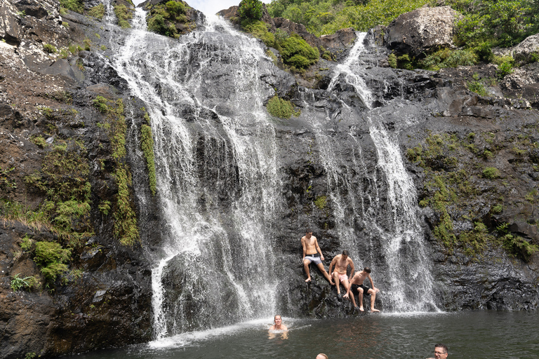 Die Naturwunder von Mauritius: Die 7 Wasserfälle + PicknickMauritius: Ein Naturwunder: Die 7 Wasserfälle von Mauritius