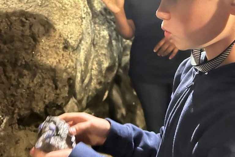 From Arusha/Manyara:Tanzanite Experience Manyara Museum tour From Manyara : Tanzanite Experience Manyara Museum tour