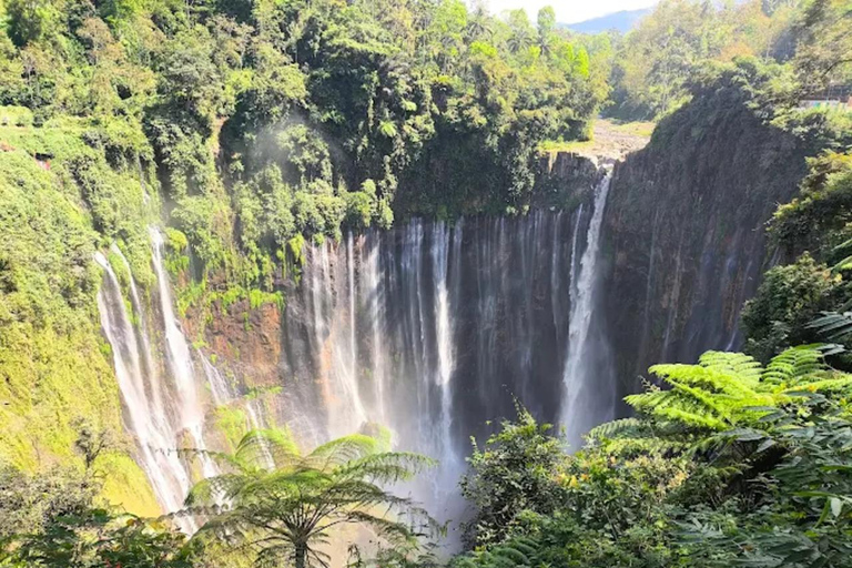 From Yogyakarta: Tumpak Sewu, Bromo, Ijen & Bali drop-off Yogyakarta to Bromo & Ijen only drop Bali