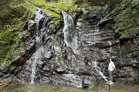 Near KIX: Shugendo Sanctuary of Waterfalls &amp; Tranquility