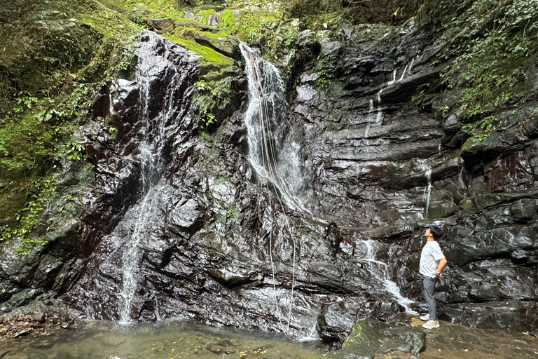 Cerca de KIX: Santuario Shugendo de Cascadas y Tranquilidad