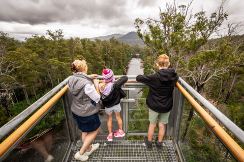 Huon Valley: Tahune Adventures Airwalk Site Entry Ticket