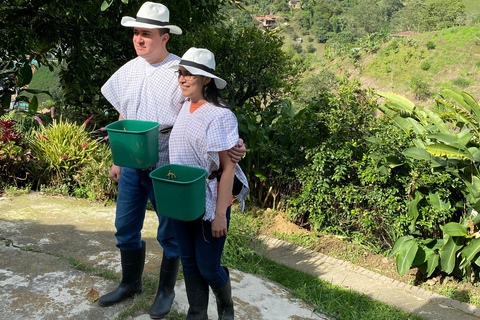 From Medellín: Half Day Private Coffee Tour
