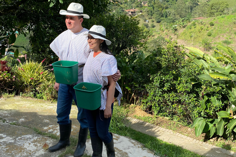 From Medellín: Half Day Private Coffee Tour