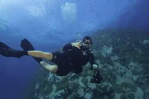 Koh Tao: Private Basic Diver Experience with 2 Dives
