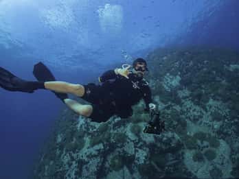 Koh Tao: Privat grunnleggende dykkopplevelse med 2 dykk