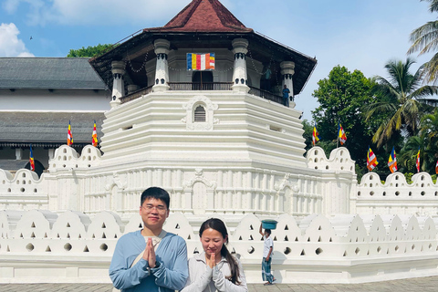 From Trincomalee: Kandy Transfer with Nalanda Gedige Stop