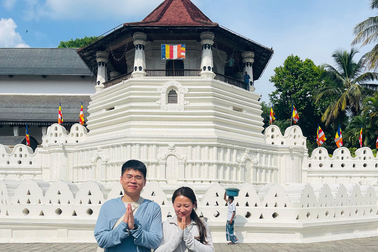 From Trincomalee: Kandy Transfer with Nalanda Gedige Stop