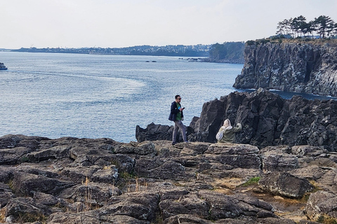 Jeju-si: Excursión guiada por el sur de la isla de JejuJeju-si: Tour guiado por la isla de Jeju