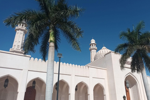 Salalah City Tour: Mosque, Al Gharif Project and Royal Farm