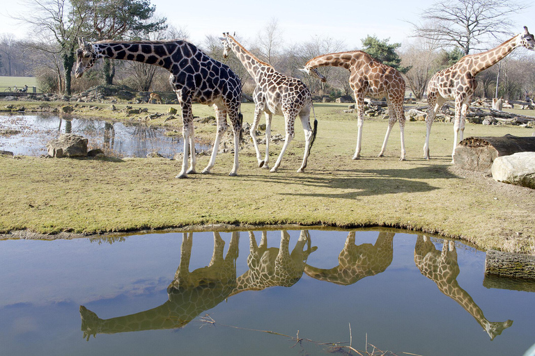 Zoo w Lipsku: Bilet wstępu