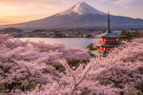 From Tokyo: Mt. Fuji & Hakone Private Scenic Day Tour