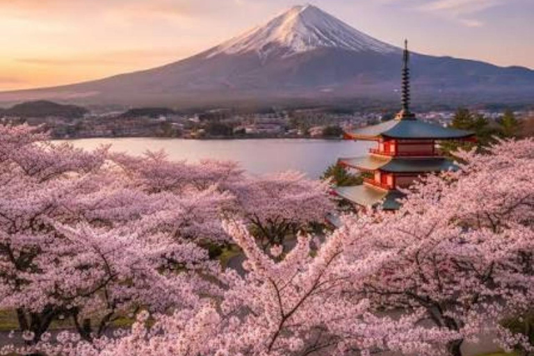From Tokyo: Mt. Fuji & Hakone Private Scenic Day Tour