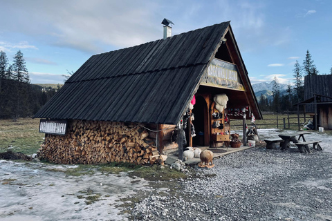 Thermal baths+Zakopane+Cottage+Bonfire+Tasting