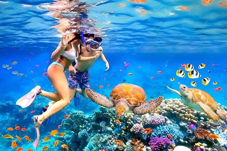 Bali : plongée avec tuba dans deux sites du Blue Lagoon, avec déjeuner et transportSnorkeling à deux sites dans le lagon bleu, rendez-vous au lieu de rendez-vous.