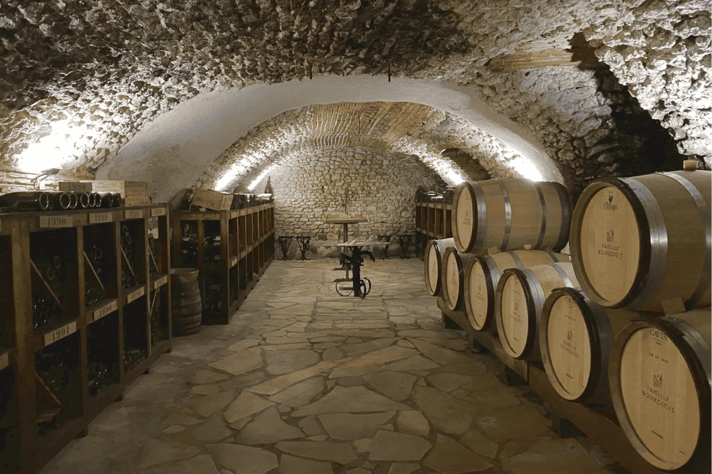 Depuis Paris : Journée vins à Sancerre avec dégustations