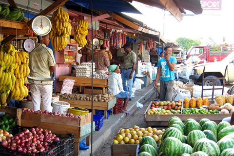 Excursión Safari desde Punta Cana