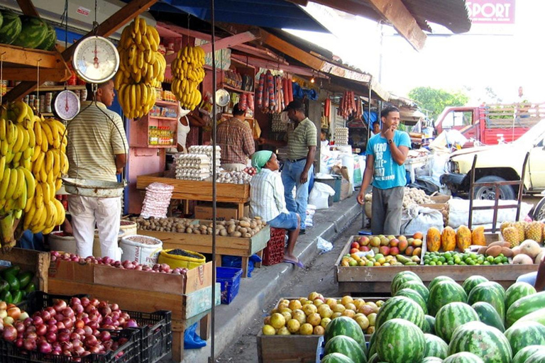 Excursión Safari desde Punta Cana