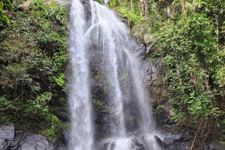 Nadi: Wycieczka do wodospadu z przekąskami i lunchemNadi: Wycieczka do wodospadu z poczęstunkiem i lunchem