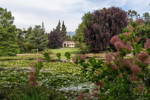 VISITE GUIDÉE DU CENTRE DU VIN (SANS MUSÉE SENSORIEL)Anglais