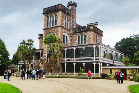 Dunedin City Highlights & Larnach Castle Tour